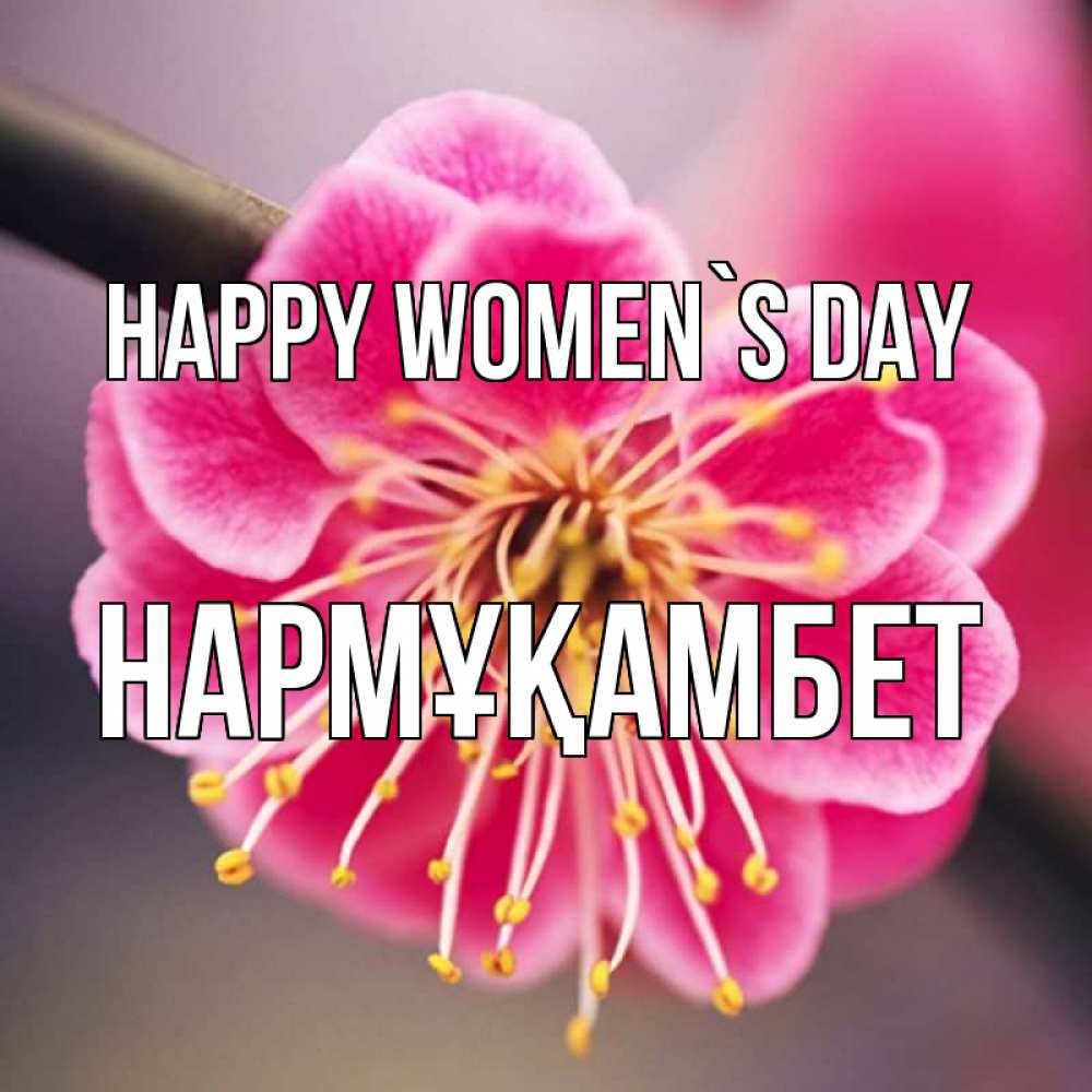 Greetings card с именем, НАРМҰҚАМБЕТ happy women`s day цветы Greetings with text for free download 